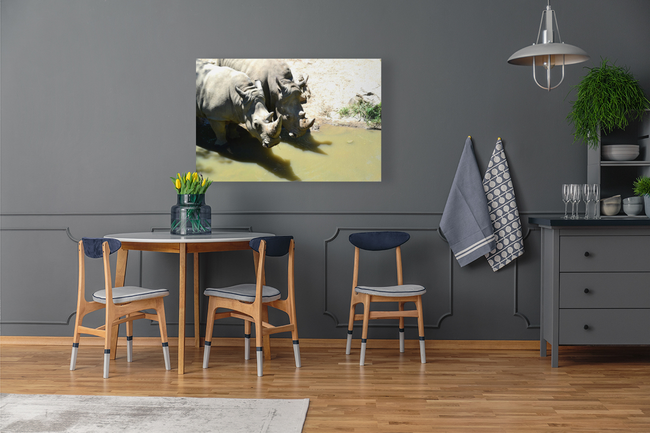 Rhinos Reproduction