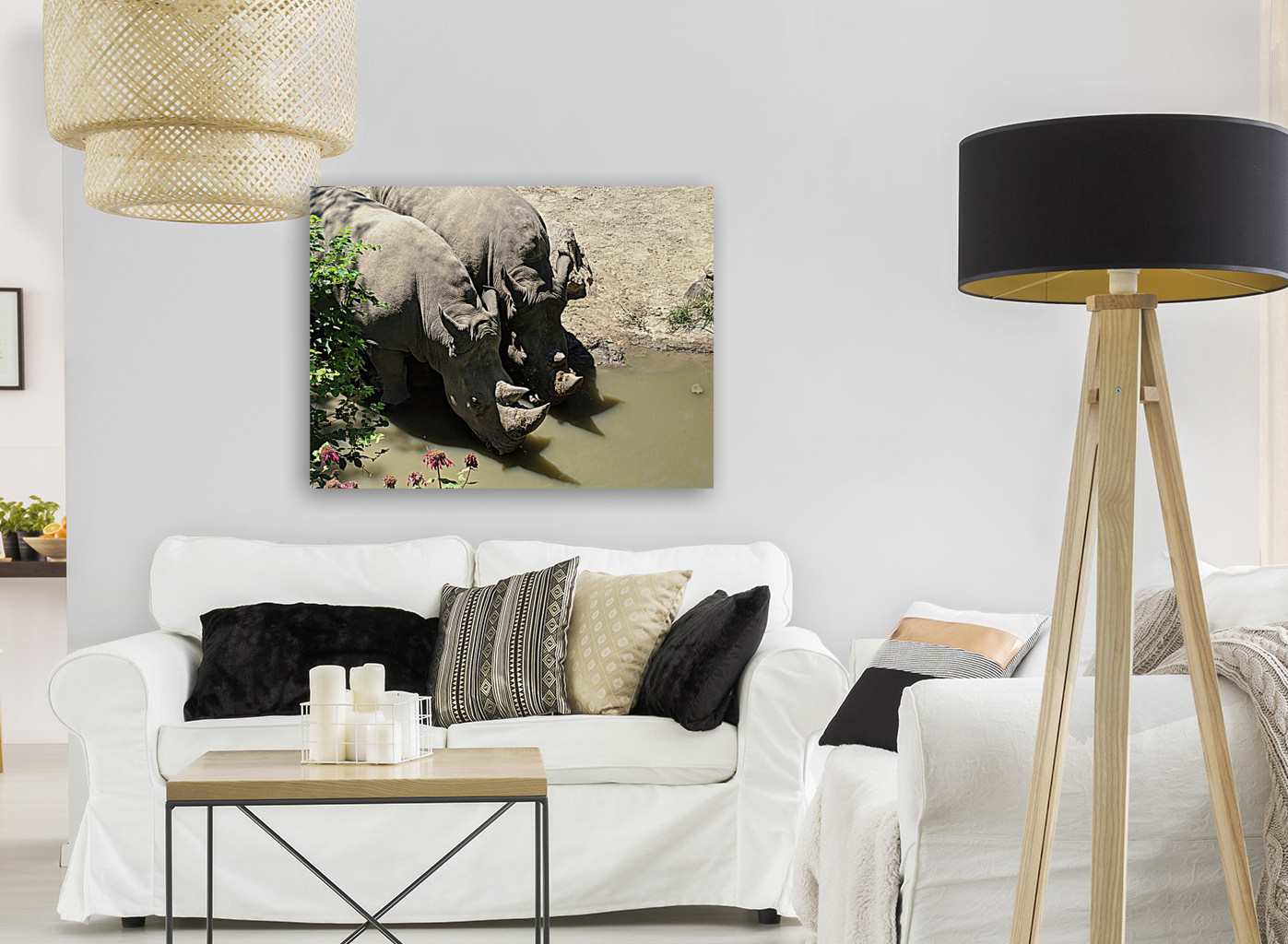 Rhino Reproduction