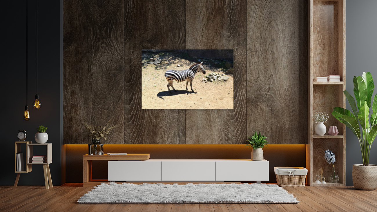Zebra Reproduction