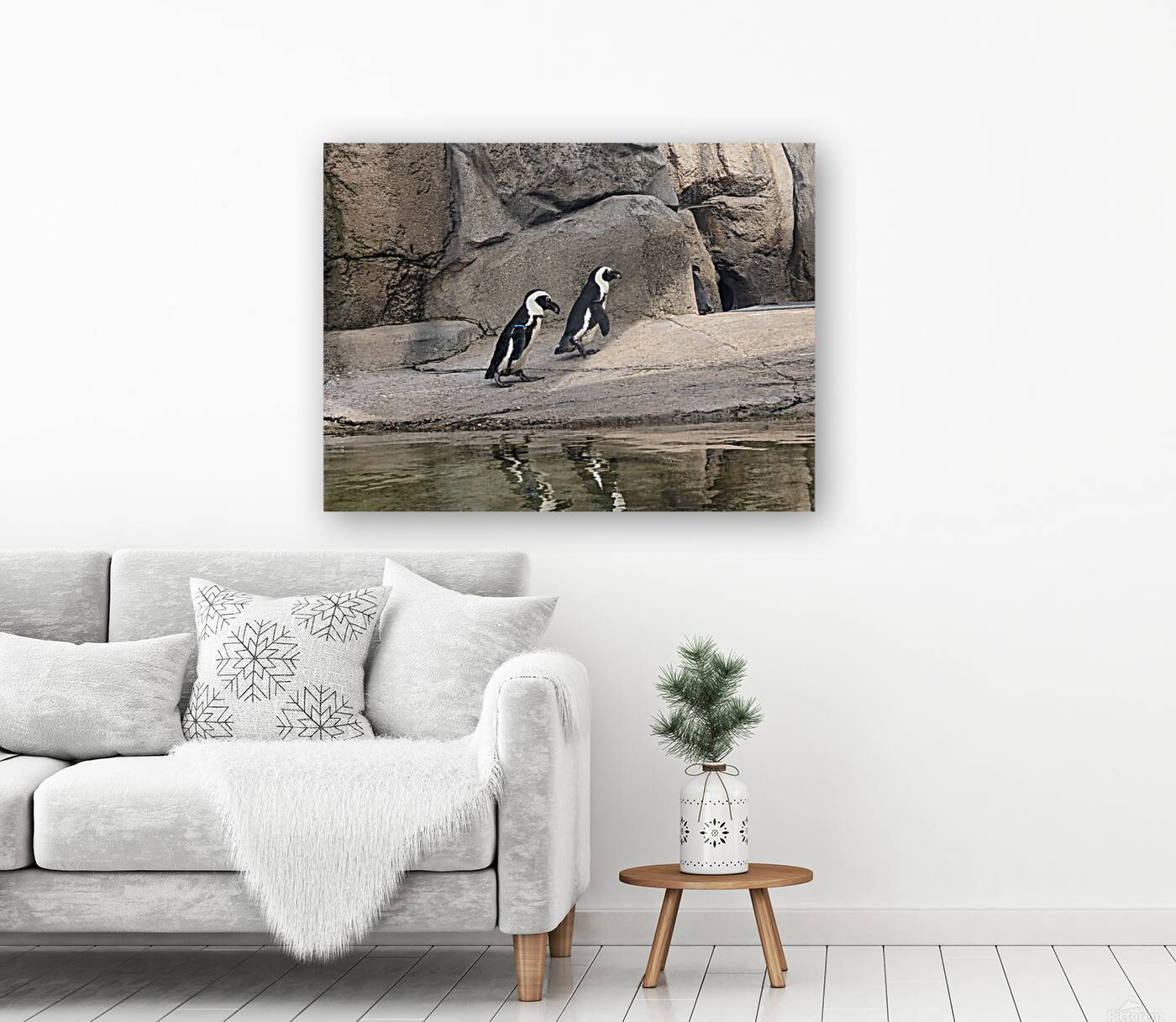 Penguin Reproduction