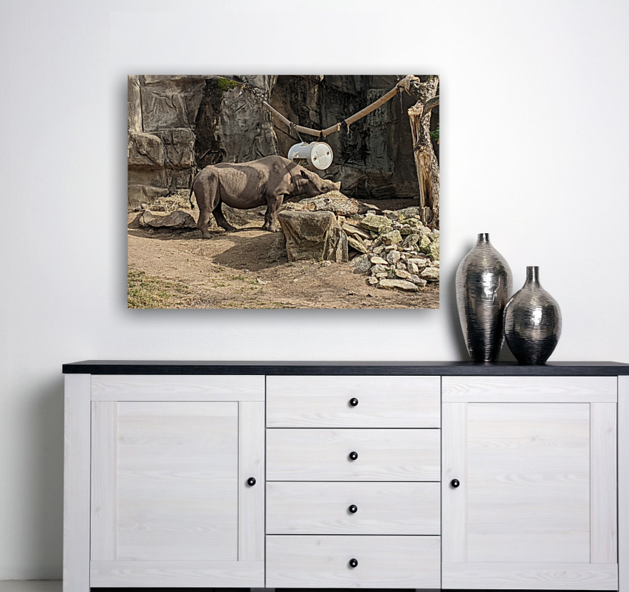 Zoo Reproduction