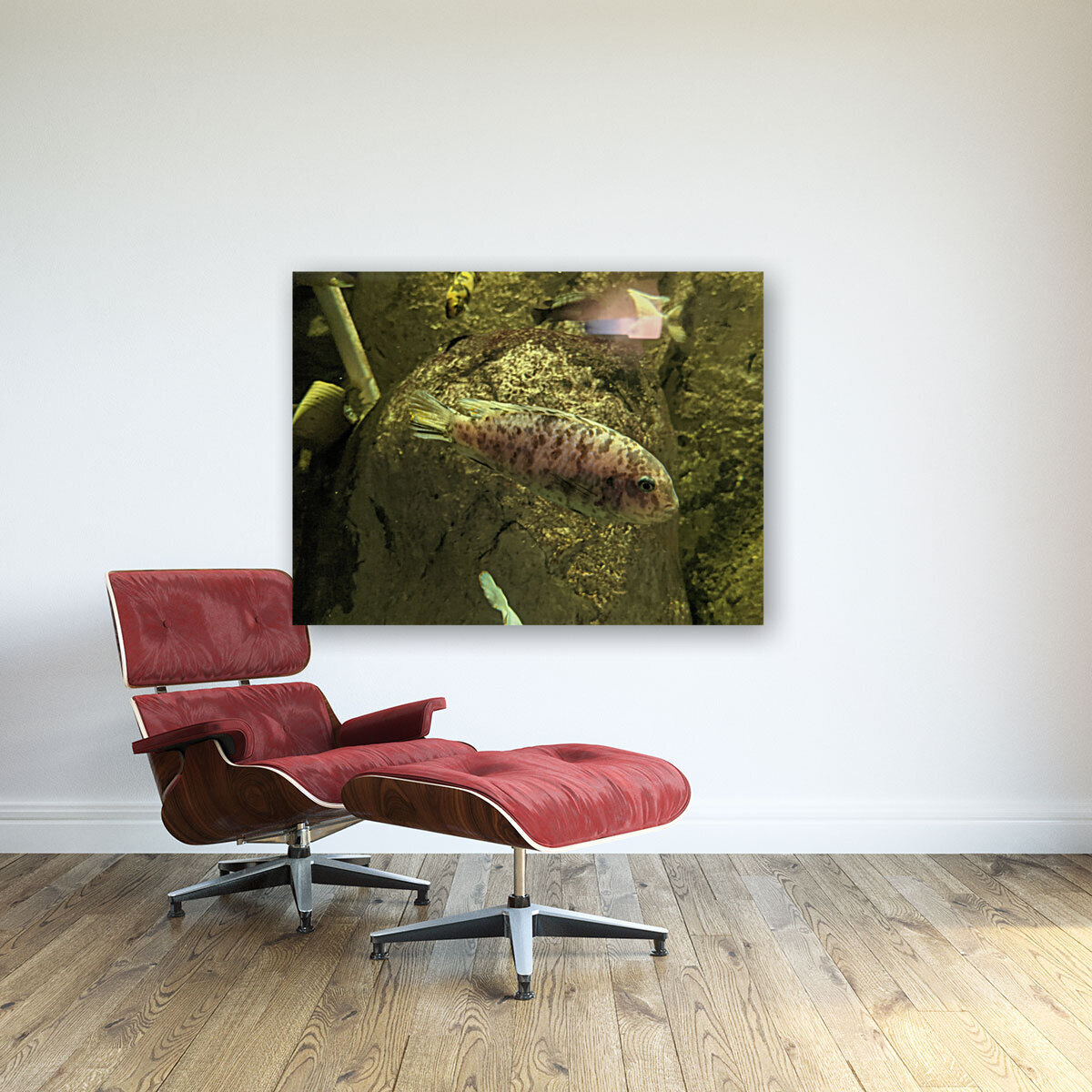 Colorful Fish Reproduction