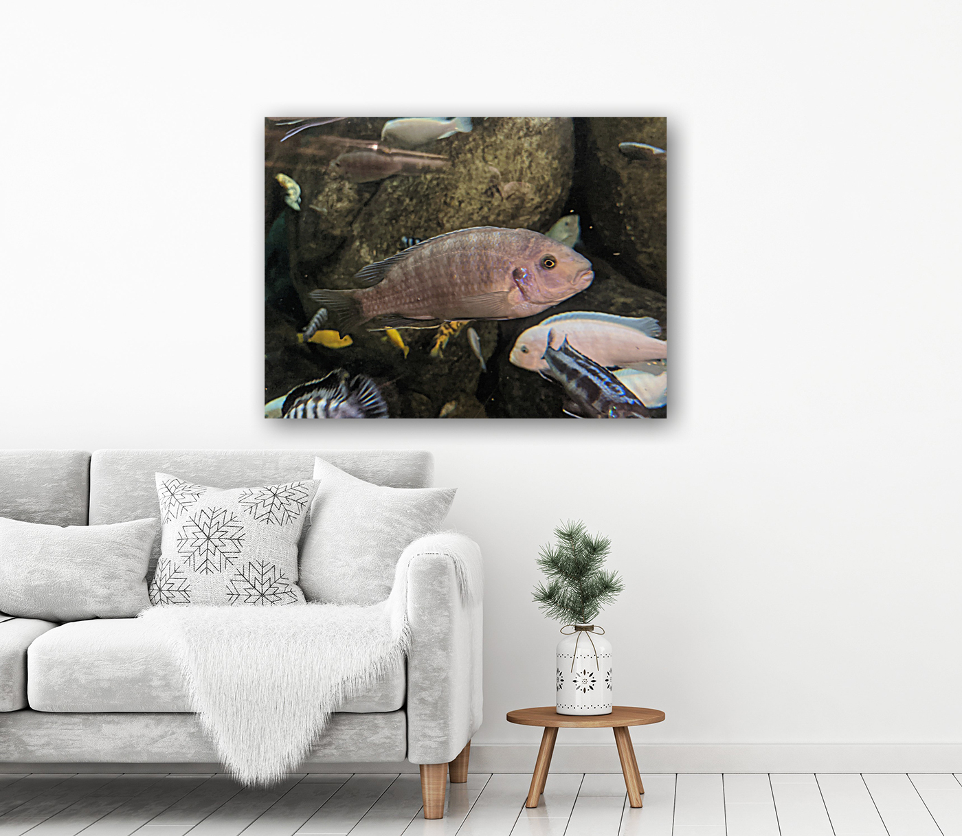 Colorful Fish Reproduction
