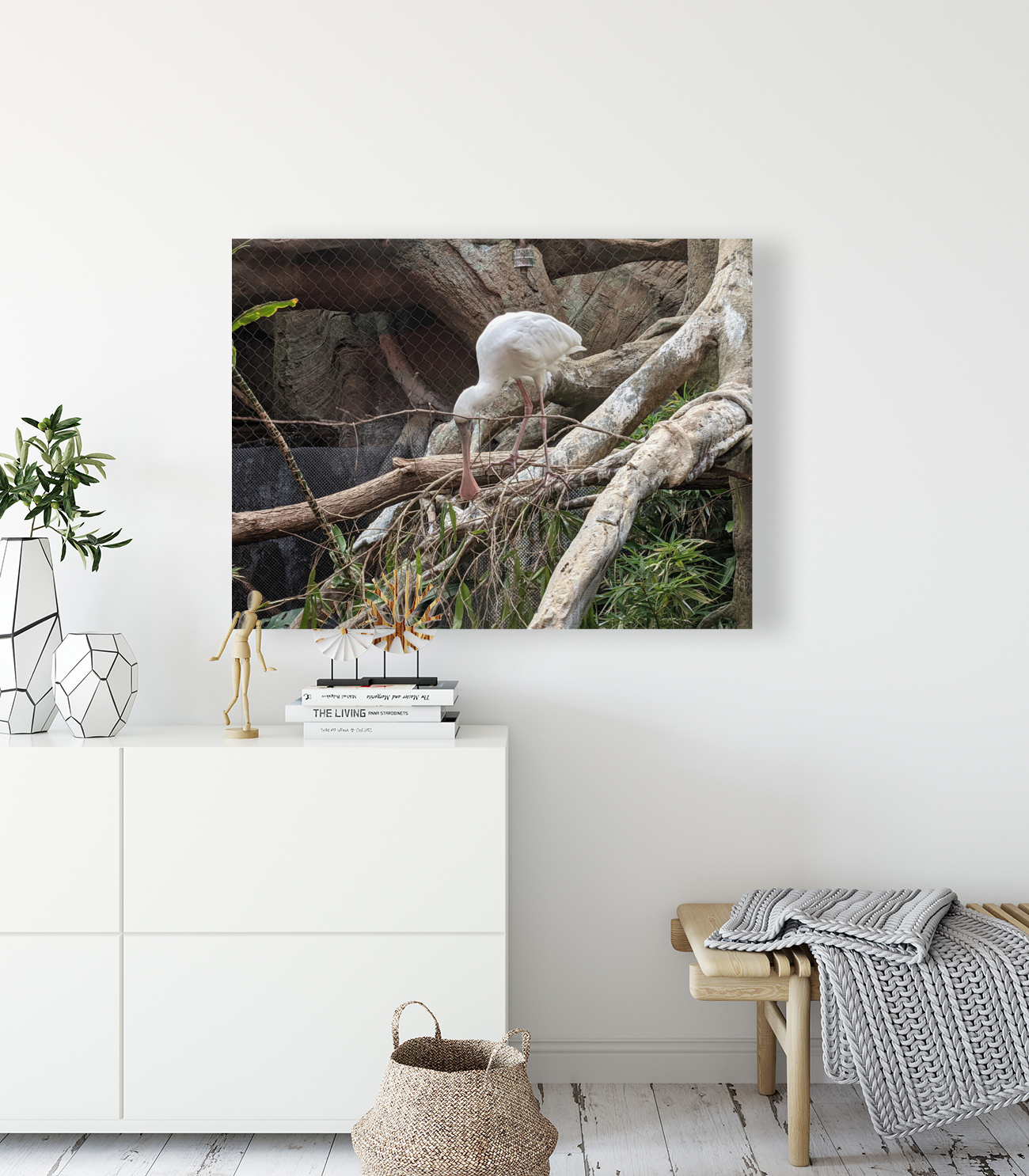 White Bird Reproduction