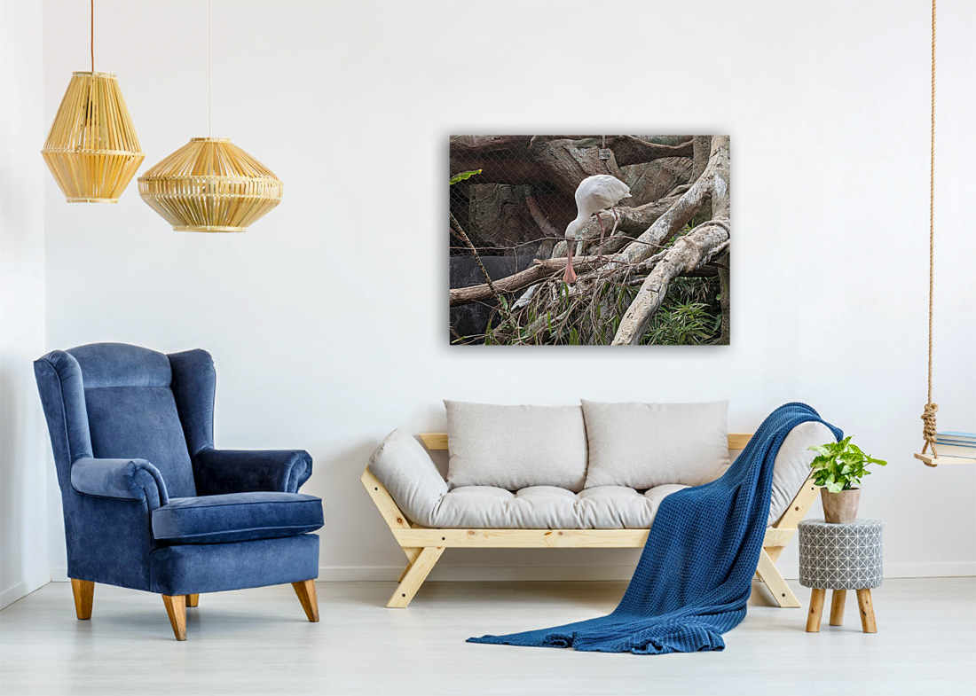 White Bird Reproduction
