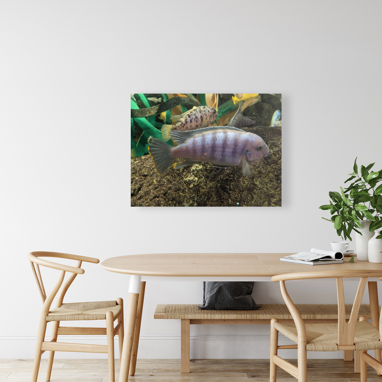 Colorful Fish Reproduction