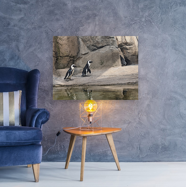 Penguin Reproduction