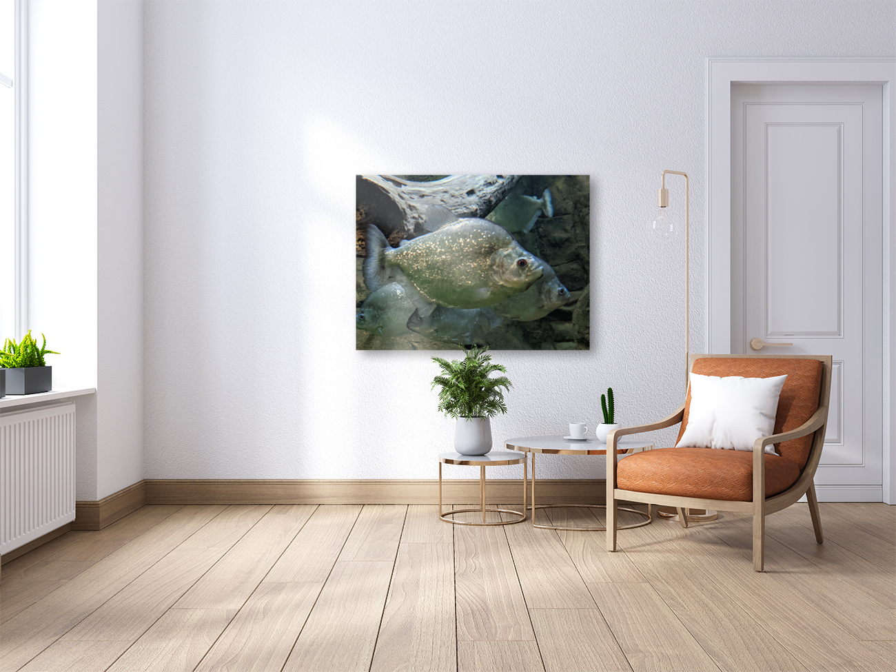 Colorful Fish Reproduction