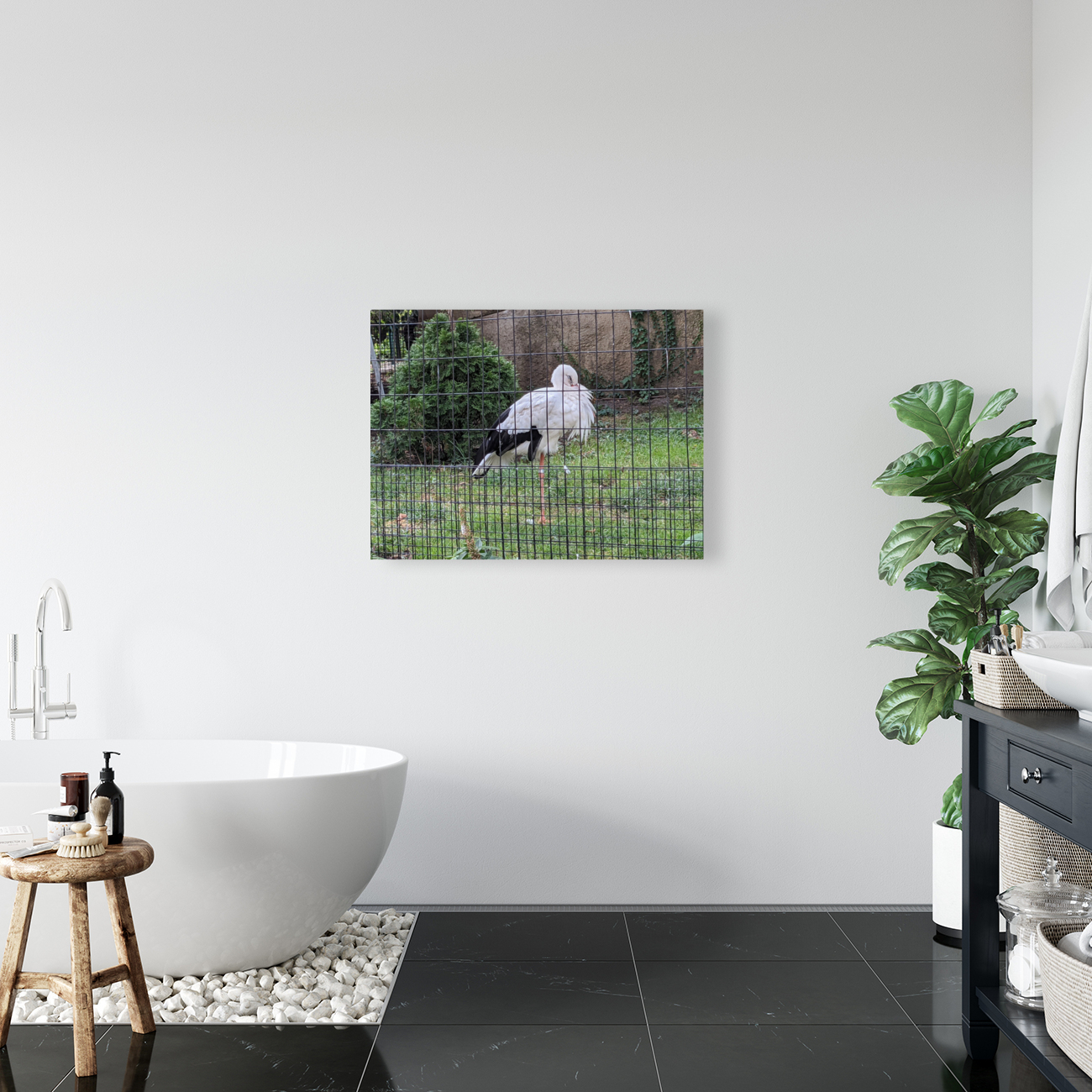 White Bird Reproduction
