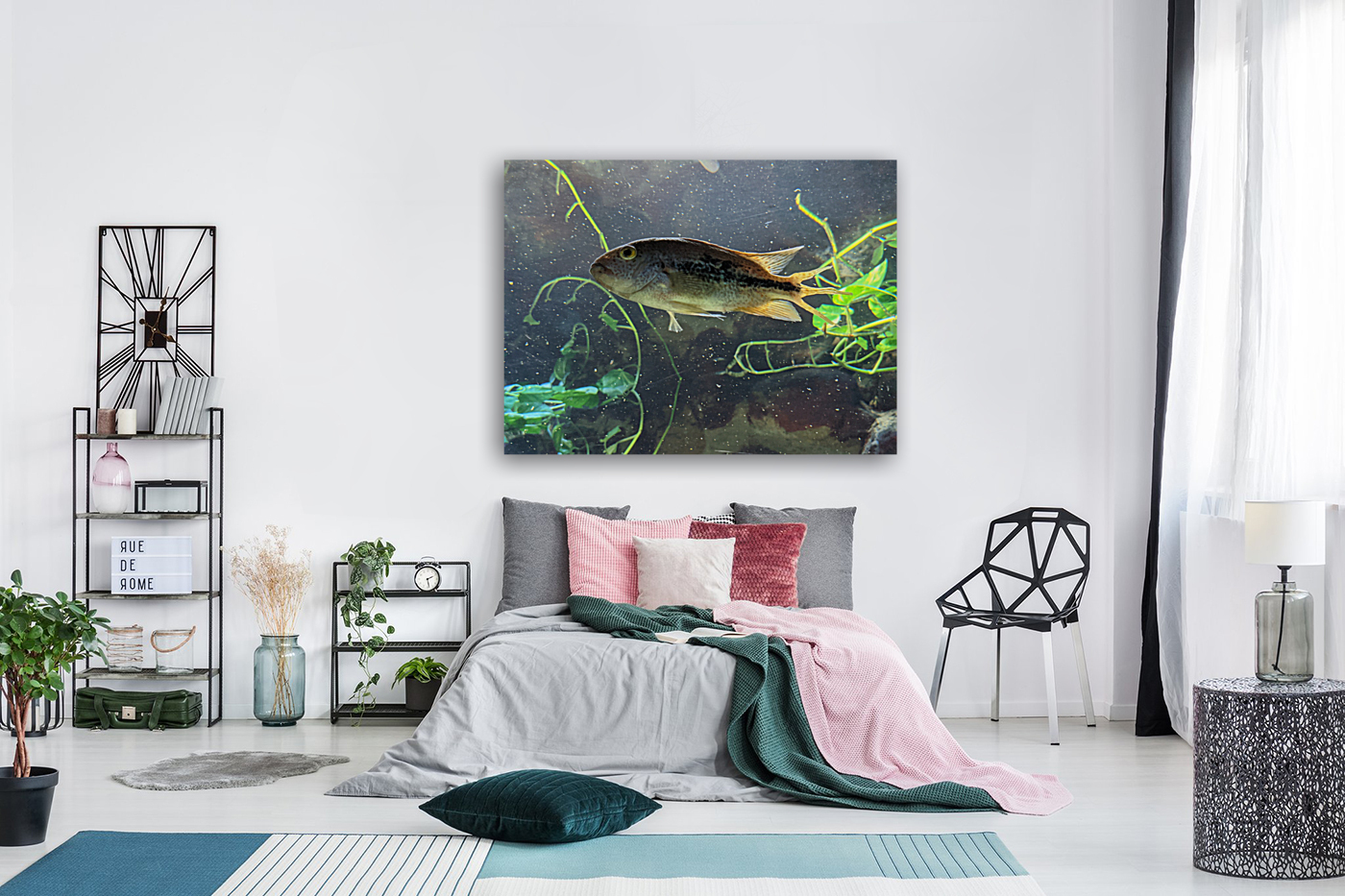 Colorful Fish Reproduction