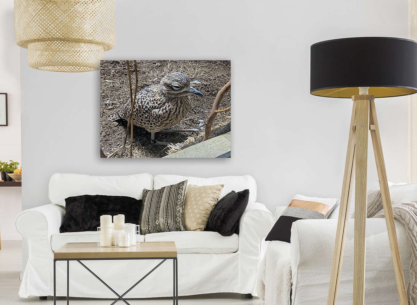 Bird Reproduction