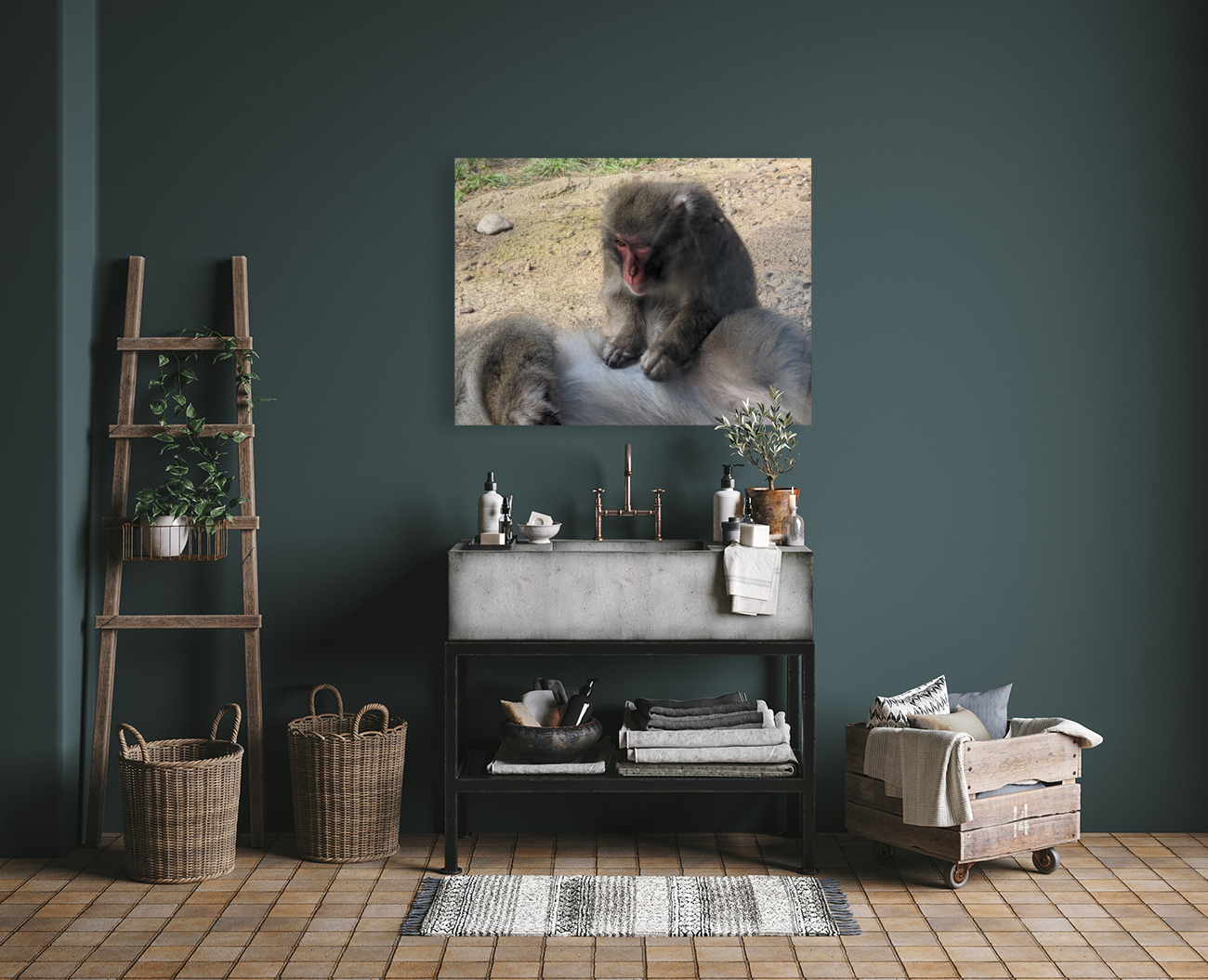 Monkey Reproduction