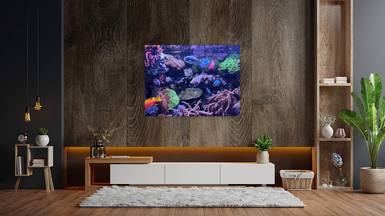 Colorful Fish Reproduction