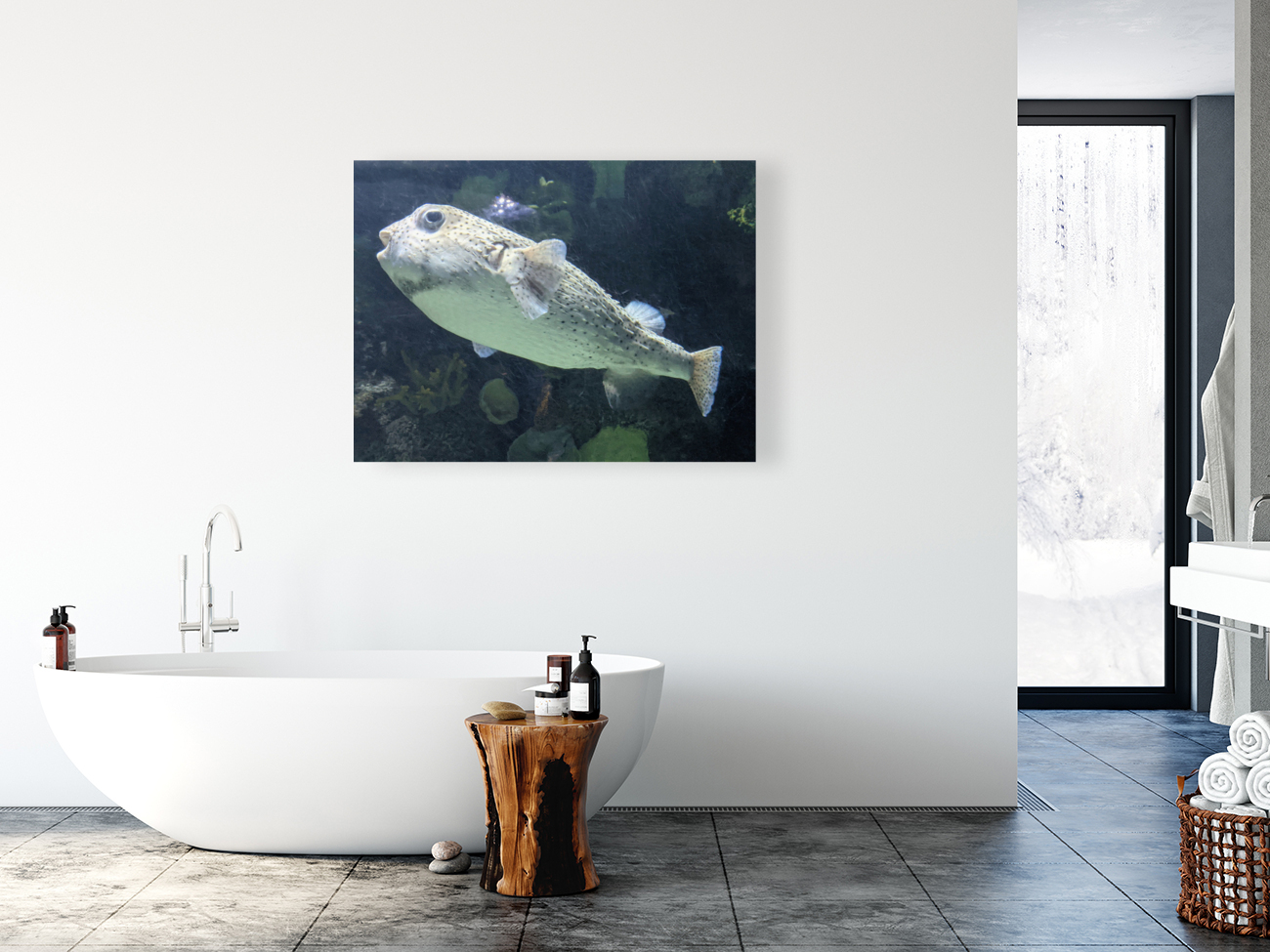 Puffer Fish Reproduction