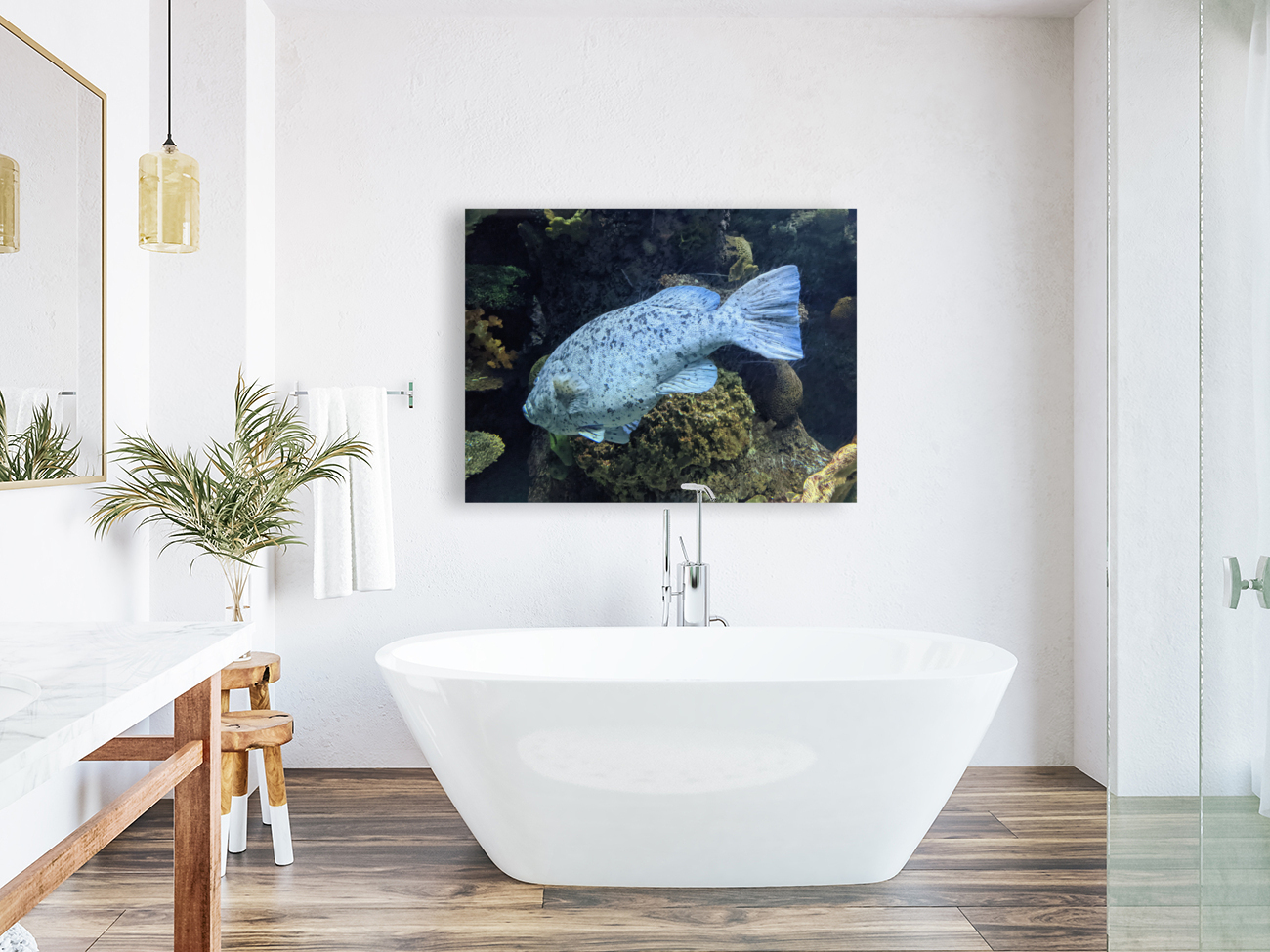 Colorful Fish Reproduction