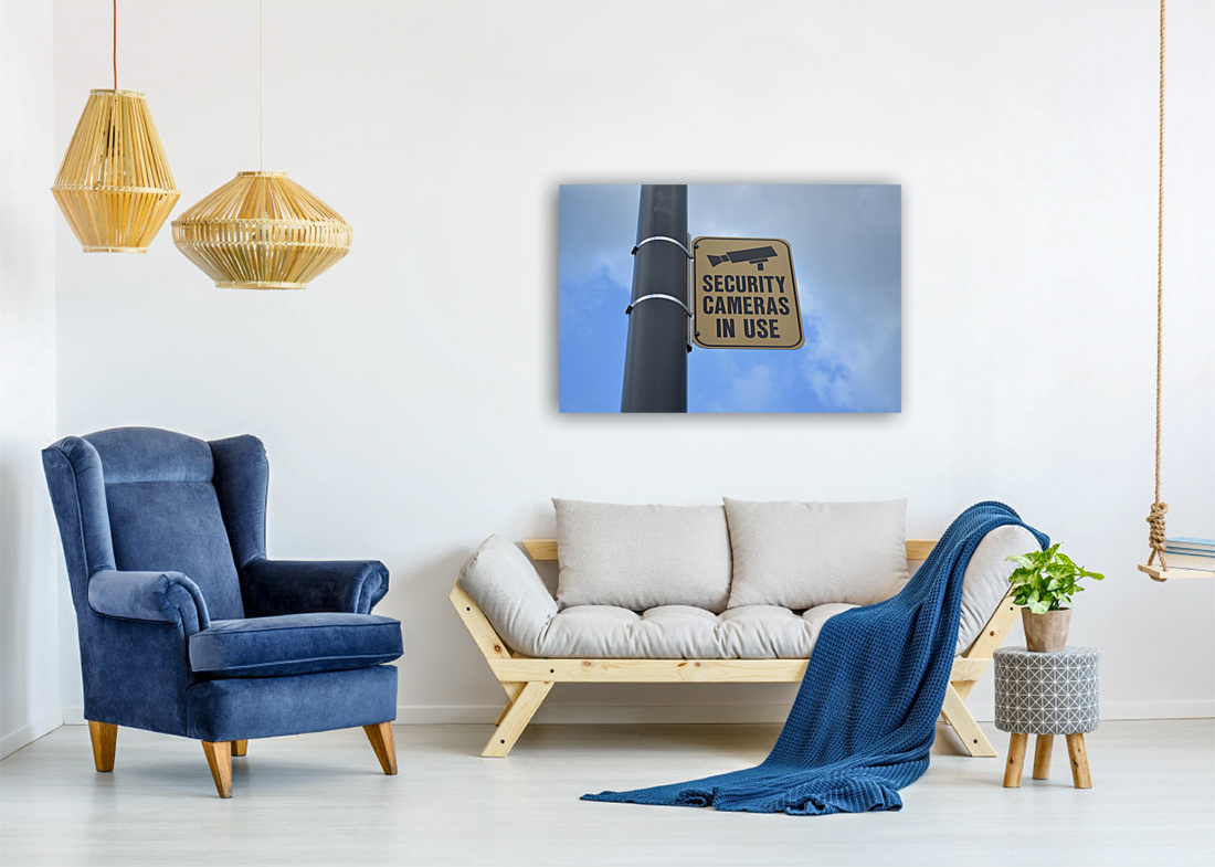 Security Cameras in Use Reproduction