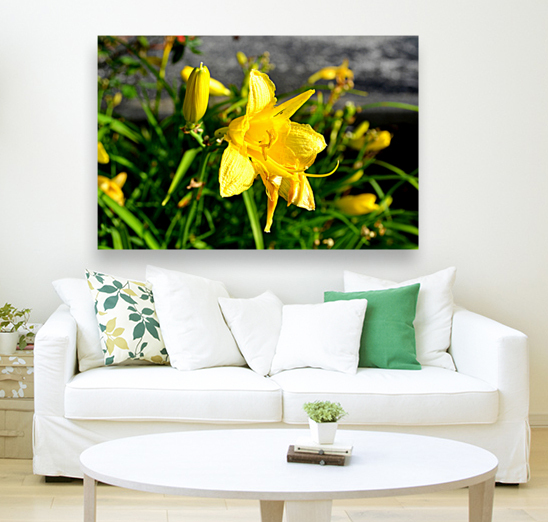 Yellow Flowers Reproduction