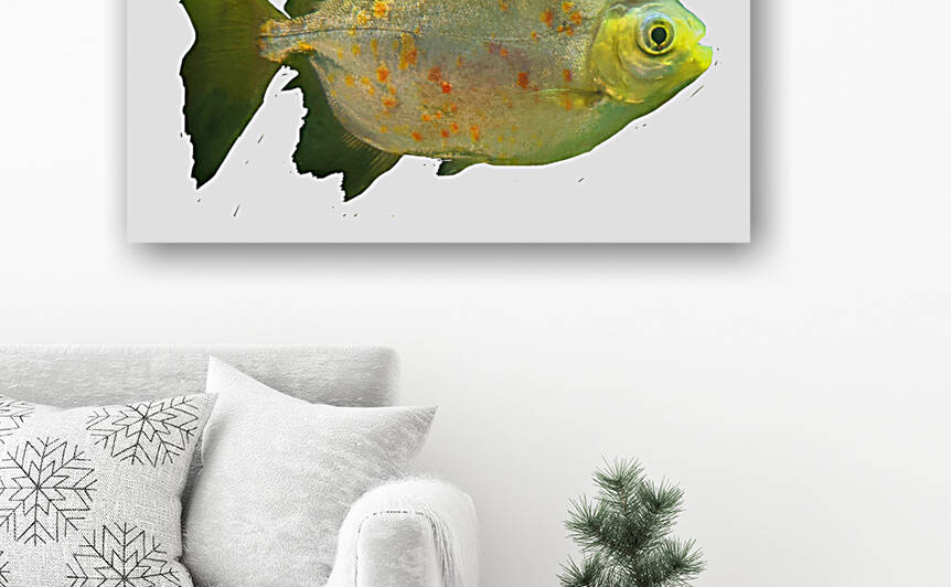 GreenFish Reproduction