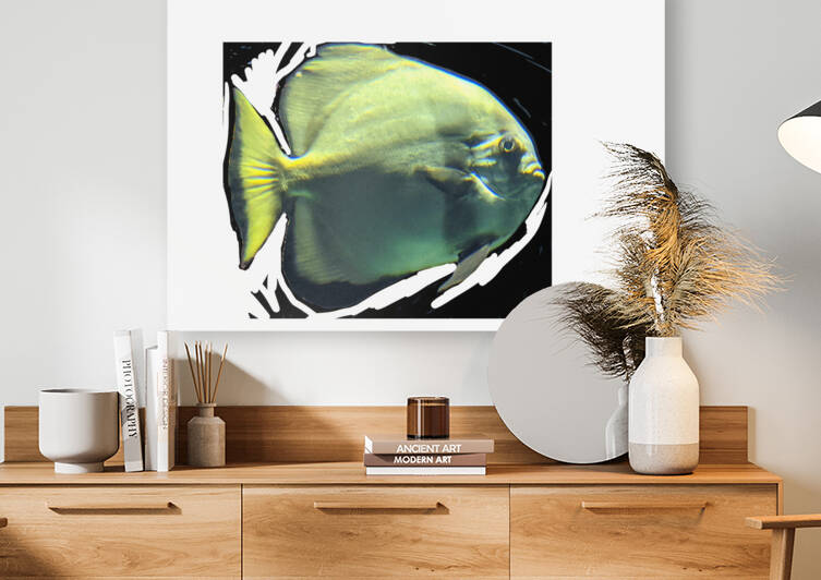 Fish02 Reproduction