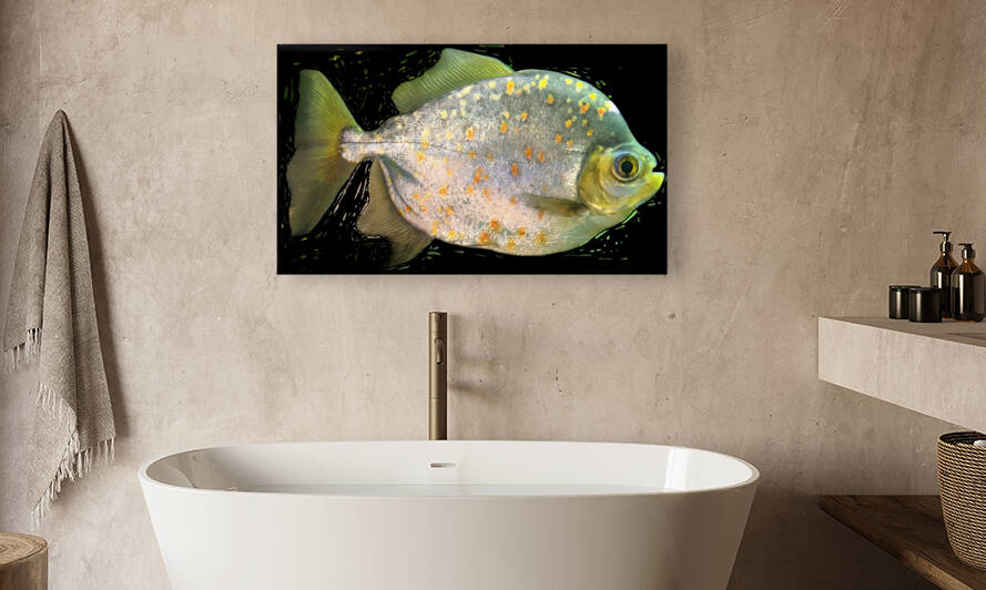 FishwithSpecs Reproduction