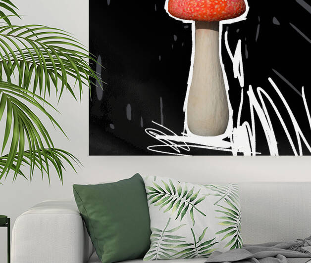 Mushroom3 Reproduction