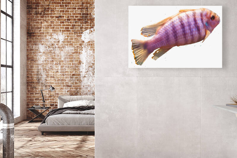 PurpleFish Reproduction