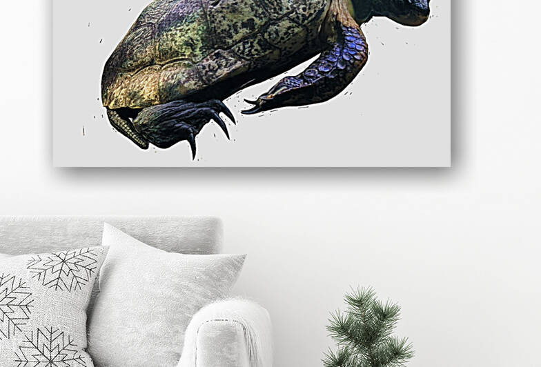Turtle2 Reproduction