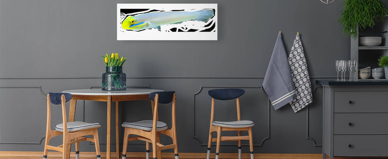 YellowandWhiteFish2 Reproduction