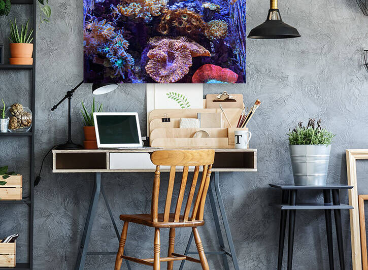 AquariumFishTank2 Reproduction