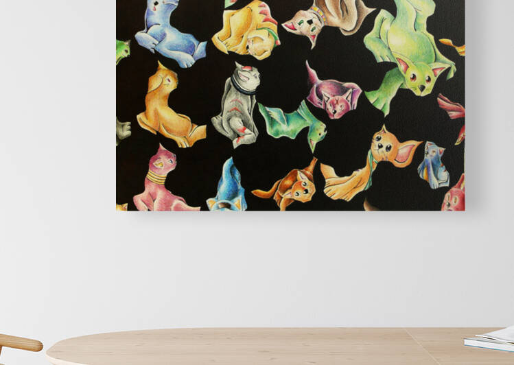 CatPattern Reproduction