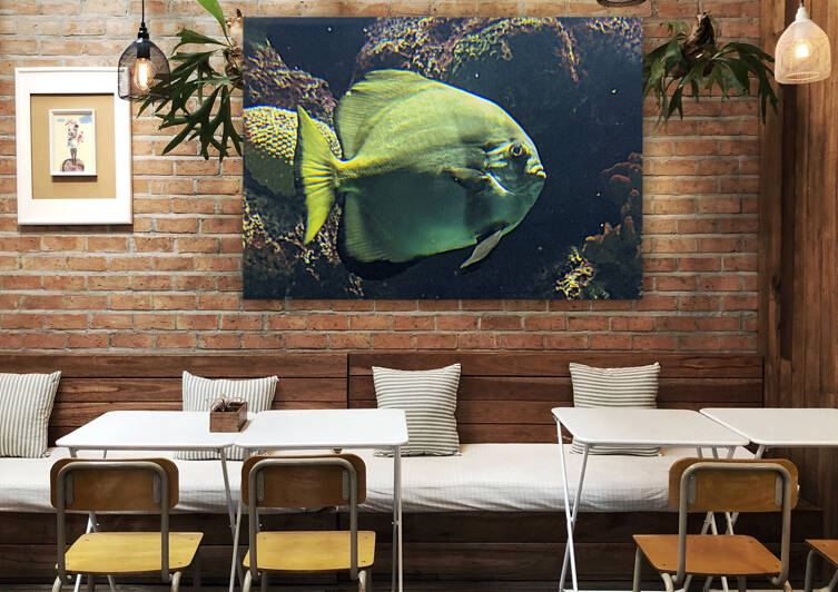Fish Reproduction