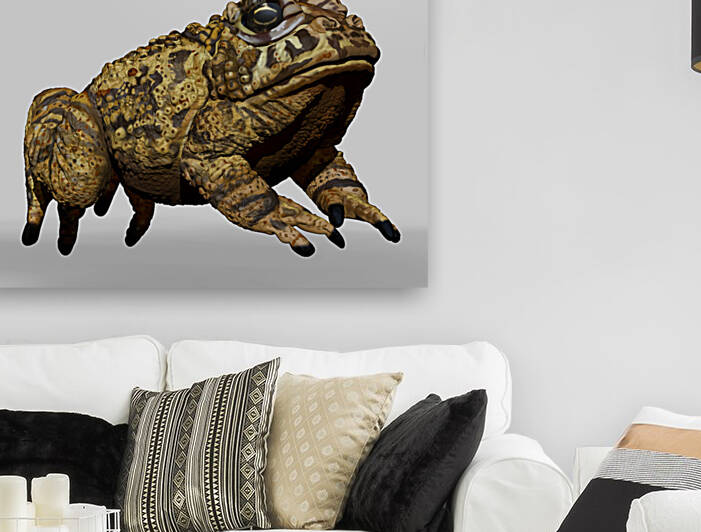 kelly johnson yellowtoad4 by Kelly Marie Johnson