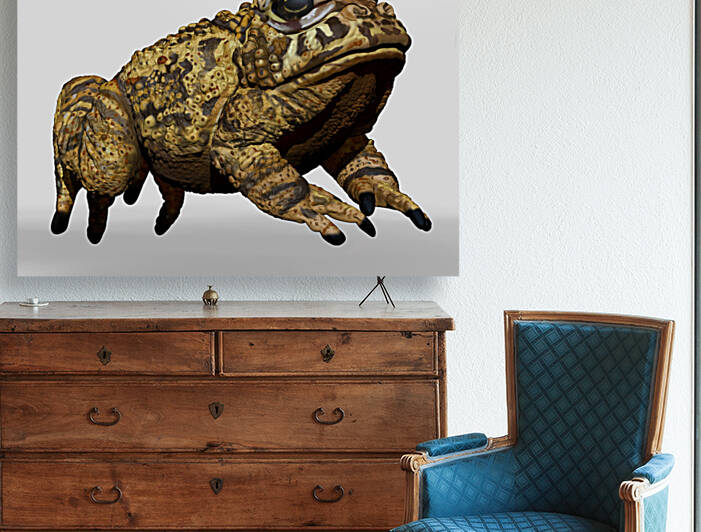 kelly johnson yellowtoad4 by Kelly Marie Johnson