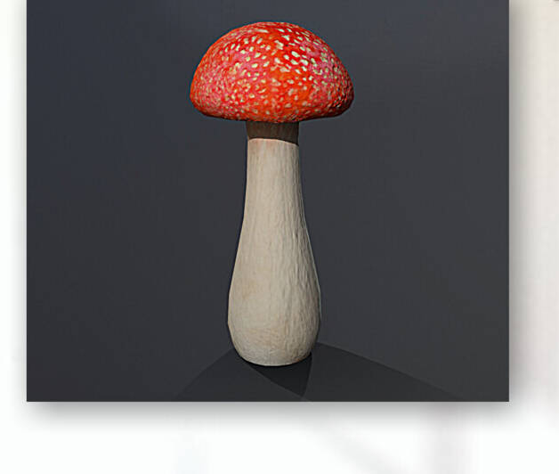 Mushroom1 Reproduction