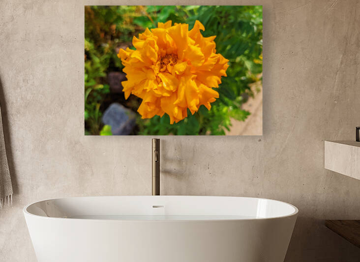 OrangeFlower by Kelly Marie Johnson