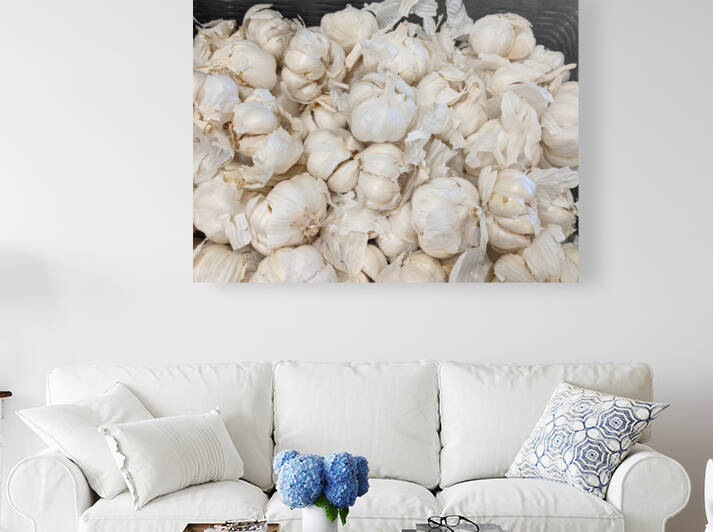Garlic by Kelly Marie Johnson
