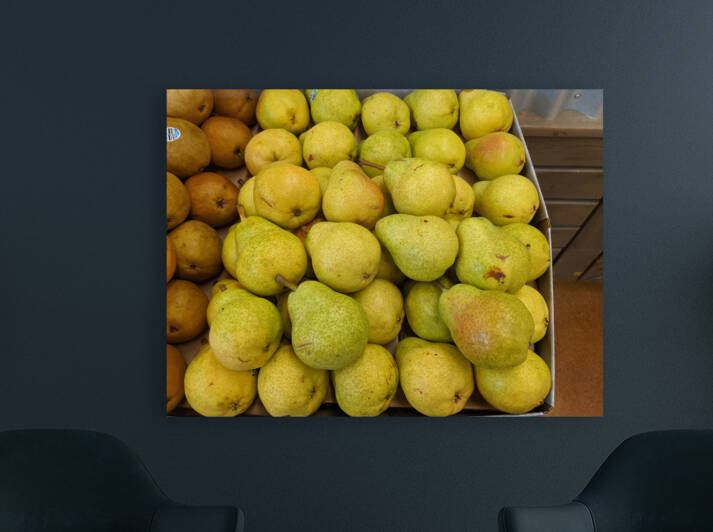 Lemons Reproduction