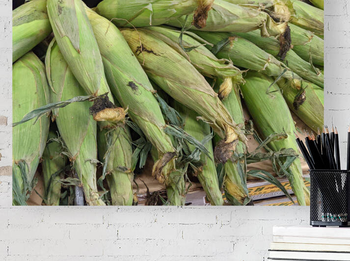 Corn by Kelly Marie Johnson