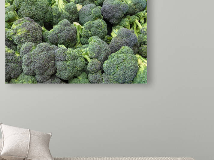 Brocolli by Kelly Marie Johnson