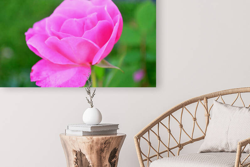 PinkFlower by Kelly Marie Johnson