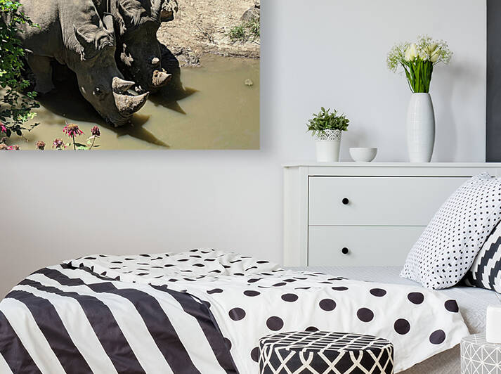 Rhino by Kelly Marie Johnson