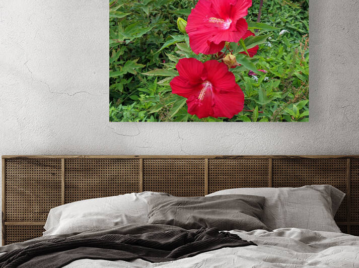 Red Flowers Reproduction