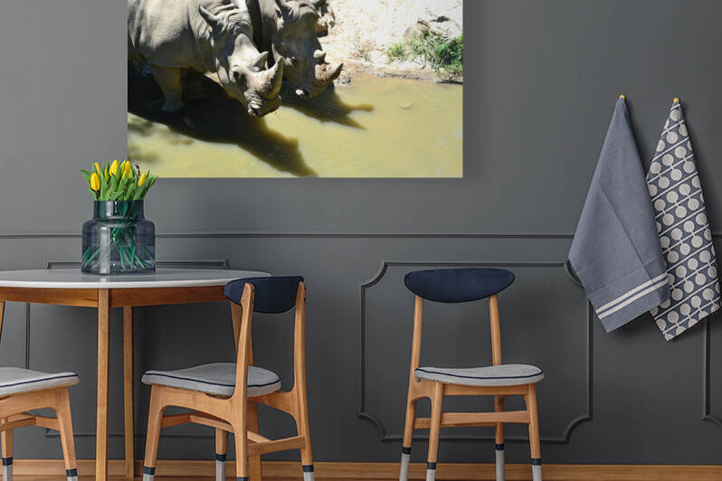 Rhinos by Kelly Marie Johnson