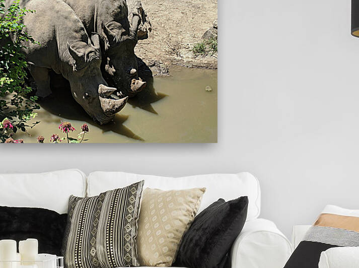 Rhino by Kelly Marie Johnson