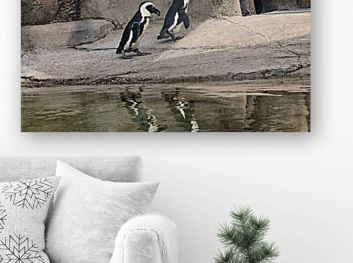 Penguin Reproduction