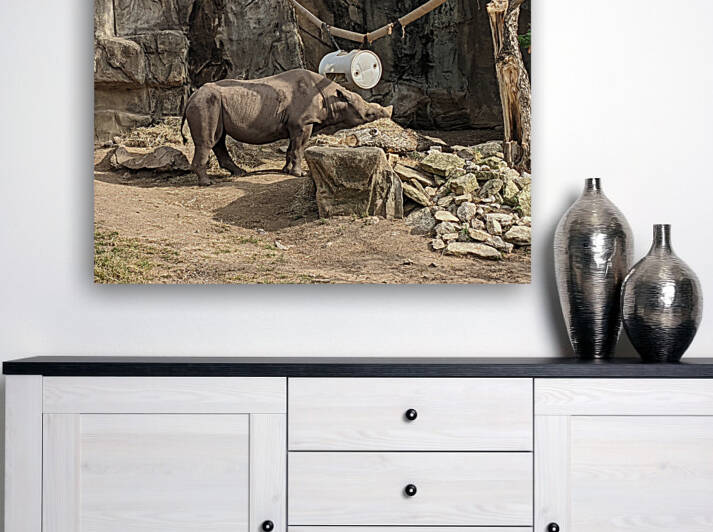 Zoo Reproduction