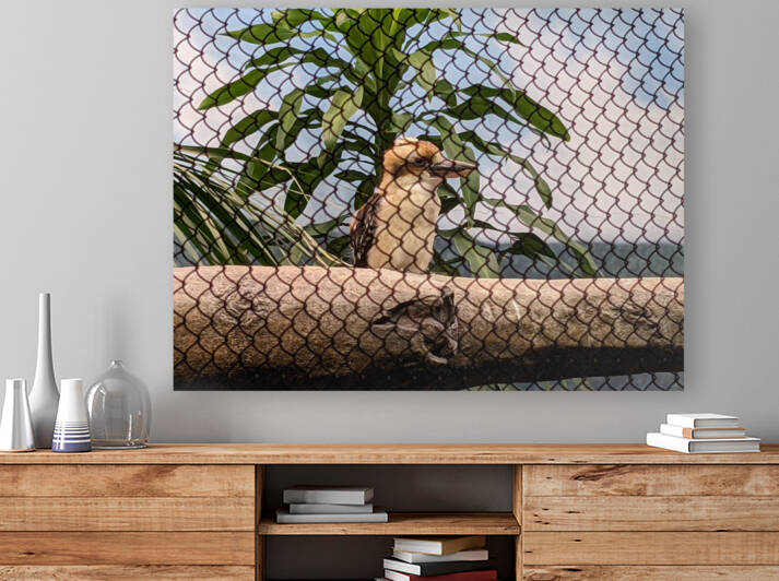 Zoo Reproduction