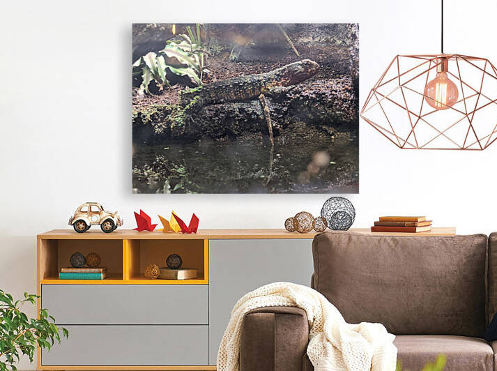 Reptile by Kelly Marie Johnson
