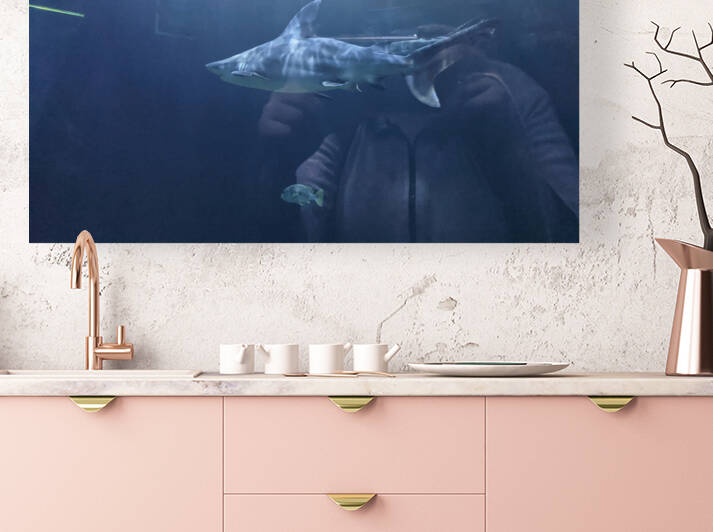 Shark by Kelly Marie Johnson