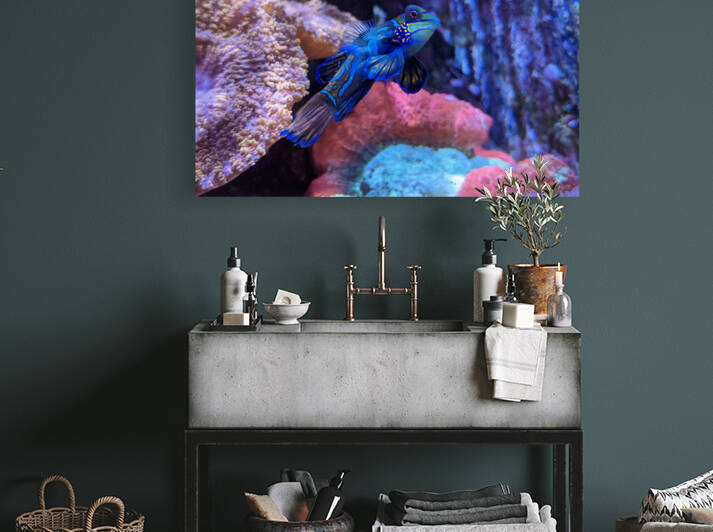 Blue Fish Reproduction